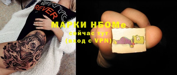 дурь Новодвинск